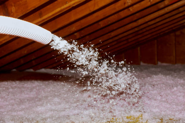 Best Eco-Friendly Insulation in Holloman Af, NM