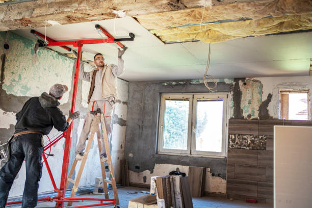 Best Cellulose Insulation in Holloman Af, NM