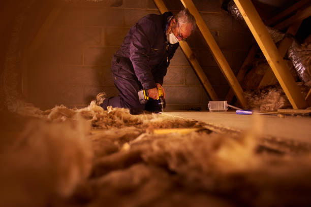 Types of Insulation We Offer in Holloman Af, NM
